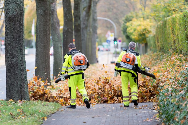Mehr: Laubzeit